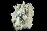 Blue Bladed Barite and Marcasite Association - Morocco #84878-2